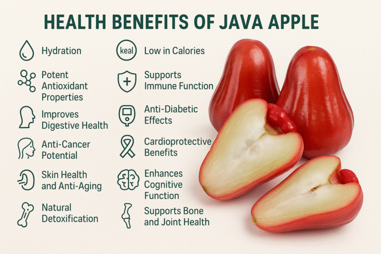 Benefits of Java Apple